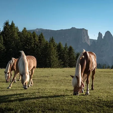 Schererhof Dolomitenblick *