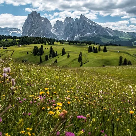 Apartment Schererhof Dolomitenblick